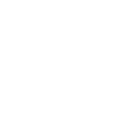 Cool Team Members